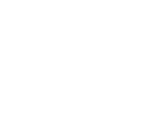 Chameleon Lounge